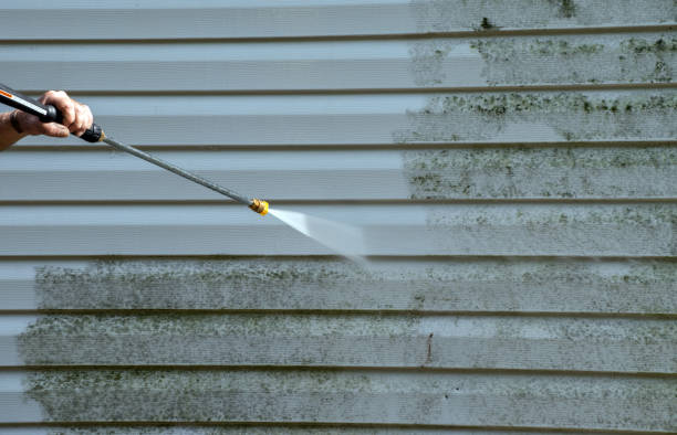 Best Best Pressure Washing Companies  in Milton, DE