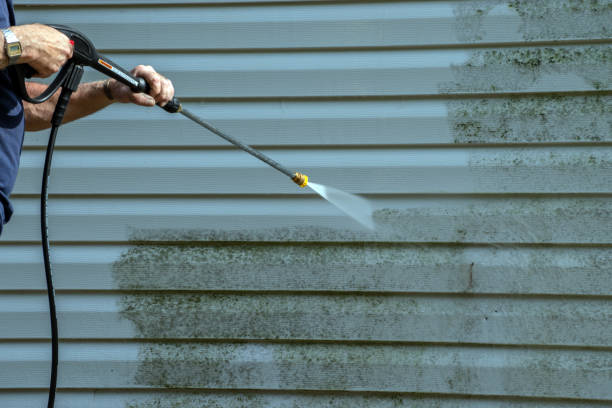 Best Residential Pressure Washing Services  in Milton, DE